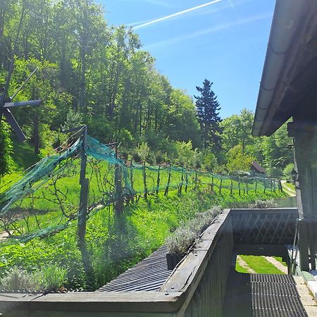 Das Altsteirische Landhaus - La Maison De Pronegg - Feriendomizil Im Biosphaerenpark Wienerwald Pressbaum Екстер'єр фото