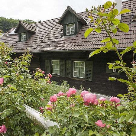 Das Altsteirische Landhaus - La Maison De Pronegg - Feriendomizil Im Biosphaerenpark Wienerwald Pressbaum Номер фото